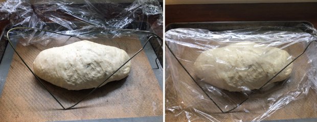 bread-proofing-tent-from-a-